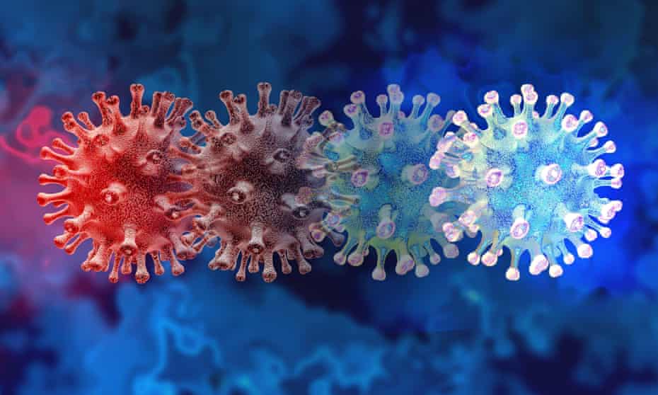 New B.1.1.529 Coronavirus Variant Poised To Be Deadlier Than Delta